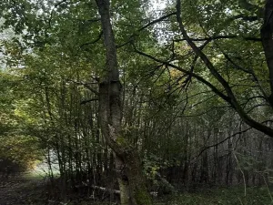 Prodej pozemku, Mladá Boleslav, 9466 m2