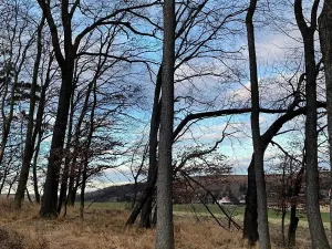 Prodej pozemku, Milešovice, 3628 m2