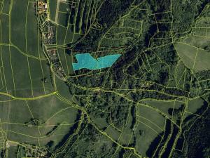 Prodej lesa, Starý Jičín, 11214 m2
