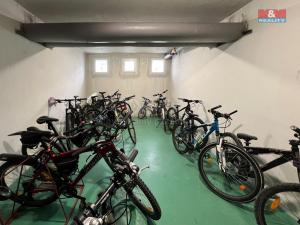 Pronájem bytu 3+1, Sušice - Sušice II, U Kapličky, 64 m2