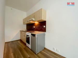 Pronájem bytu 1+kk, Lovosice, Osvoboditelů, 39 m2