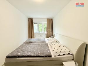 Pronájem bytu 2+kk, Žamberk, Divišova, 59 m2