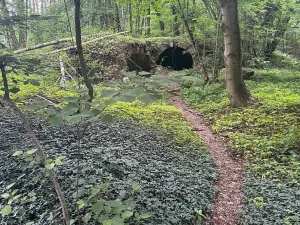 Prodej podílu pozemku pro bydlení, Kacanovy, 25219 m2
