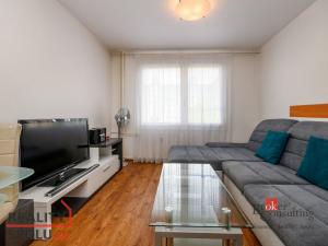 Pronájem bytu 1+1, Plzeň - Severní Předměstí, Brněnská, 48 m2