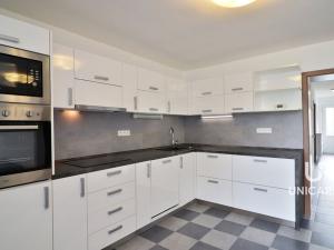 Prodej rodinného domu, Pasohlávky, 273 m2