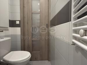 Pronájem bytu 1+1, Ústí nad Labem - Všebořice, 45 m2