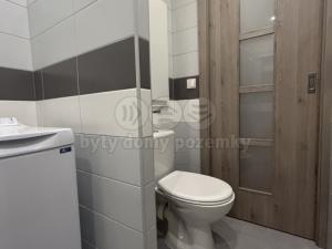 Pronájem bytu 1+1, Ústí nad Labem - Všebořice, 45 m2