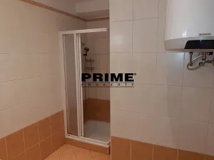 Pronájem bytu 2+1, Praha - Nové Město, Záhořanského, 124 m2