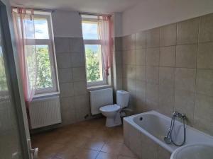 Pronájem bytu 1+1, Teplice, Jateční, 48 m2