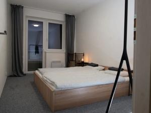 Pronájem bytu 2+1, Brno, Bratislavská, 50 m2