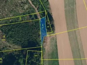 Prodej lesa, Buřenice, 475 m2
