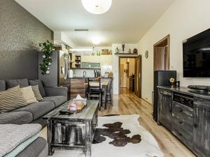 Pronájem bytu 2+kk, České Budějovice, 55 m2