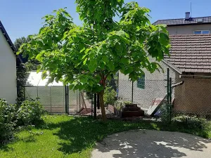 Prodej rodinného domu, Deštná, Táborská, 112 m2