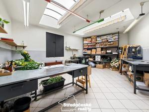 Prodej obchodního prostoru, Praha - Kolovraty, Mírová, 207 m2