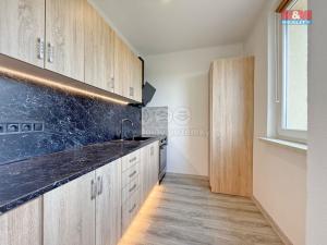 Prodej bytu 3+1, Černovice, Družstevní, 56 m2