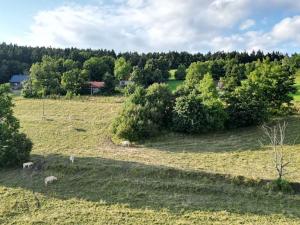 Prodej louky, Proseč pod Ještědem, 385 m2
