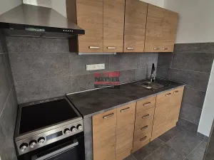Pronájem bytu 2+kk, Planá nad Lužnicí, Průmyslová, 56 m2