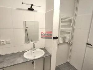 Pronájem bytu 2+kk, Planá nad Lužnicí, Průmyslová, 56 m2
