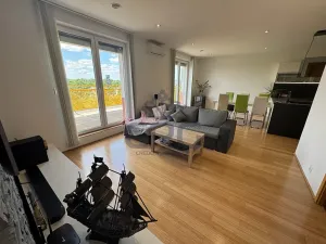 Prodej bytu 3+kk, Pohořelice, Znojemská, 115 m2