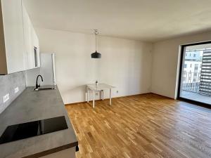 Pronájem bytu 1+kk, Praha, Mezi vodami, 41 m2