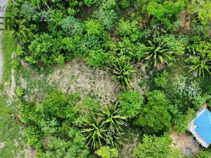 Prodej pozemku, Coxen Hole, Roatán, Honduras, 716 m2