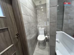 Pronájem bytu 2+1, Žatec, Růžová, 60 m2