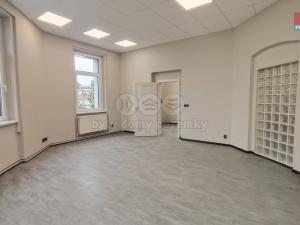 Pronájem kanceláře, Ústí nad Labem - Ústí nad Labem-centrum, Na Luhách, 43 m2