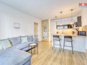 Prodej bytu 2+kk, Plzeň, Pallova, 49 m2