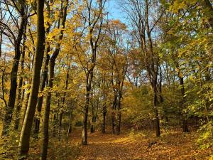 Prodej bytu 2+kk, Praha - Horní Měcholupy, Nad přehradou, 44 m2