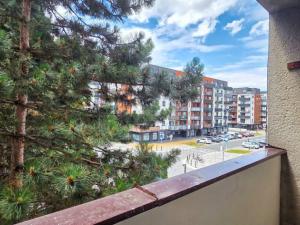 Pronájem bytu 3+1, Pardubice - Zelené Předměstí, Na Spravedlnosti, 76 m2