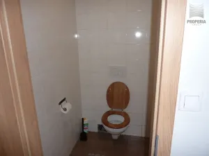 Prodej chalupy, Horní Věstonice, 130 m2