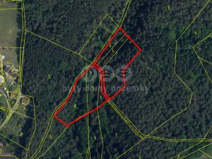 Prodej lesa, Mírová pod Kozákovem - Sekerkovy Loučky, 5461 m2