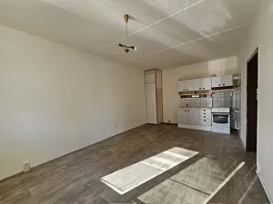 Prodej bytu 2+kk, České Budějovice, M. Chlajna, 40 m2