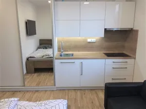 Pronájem bytu 1+kk, Zlín, Štefánikova, 26 m2