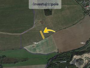 Prodej pole, Zbůch, 1090 m2