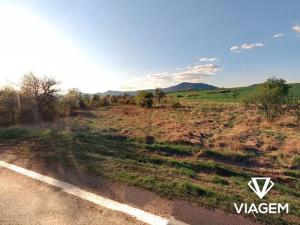Prodej pole, Trnovany, 3392 m2