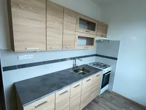 Pronájem bytu 1+1, Nový Jičín, Luční, 40 m2