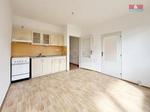 Pronájem bytu 1+1, Děčín - Děčín III-Staré Město, Oblouková, 35 m2