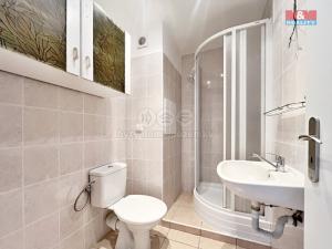 Pronájem bytu 1+1, Děčín - Děčín III-Staré Město, Oblouková, 35 m2