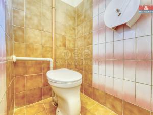 Pronájem výrobních prostor, Borovy, 168 m2