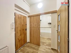 Pronájem bytu 1+1, Děčín - Děčín VIII-Dolní Oldřichov, Teplická, 41 m2