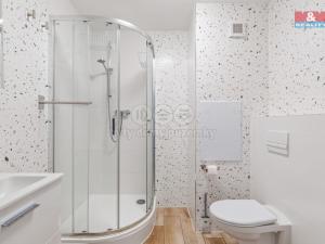 Prodej bytu 2+kk, Teplice - Trnovany, Trnovanská, 42 m2