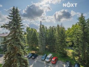 Pronájem bytu 2+1, Rýmařov, Větrná, 52 m2