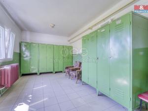 Pronájem výrobních prostor, Nepomuk - Dvorec, 378 m2