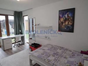 Pronájem rodinného domu, České Budějovice, Pod Drahou, 250 m2