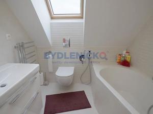 Pronájem rodinného domu, České Budějovice, Pod Drahou, 250 m2