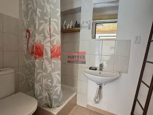 Prodej chalupy, Sedlec-Prčice, Sedlčanská, 41 m2