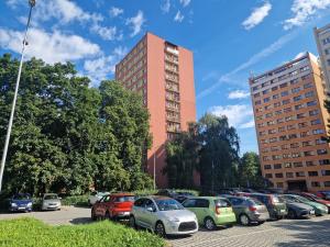 Prodej bytu 2+1, Ostrava - Moravská Ostrava, Petra Křičky, 49 m2