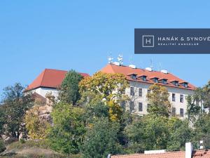 Pronájem bytu 1+1, Brno, Anenská, 28 m2