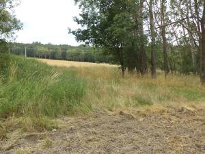 Dražba zahrady, Heřmanova Huť, 1100 m2